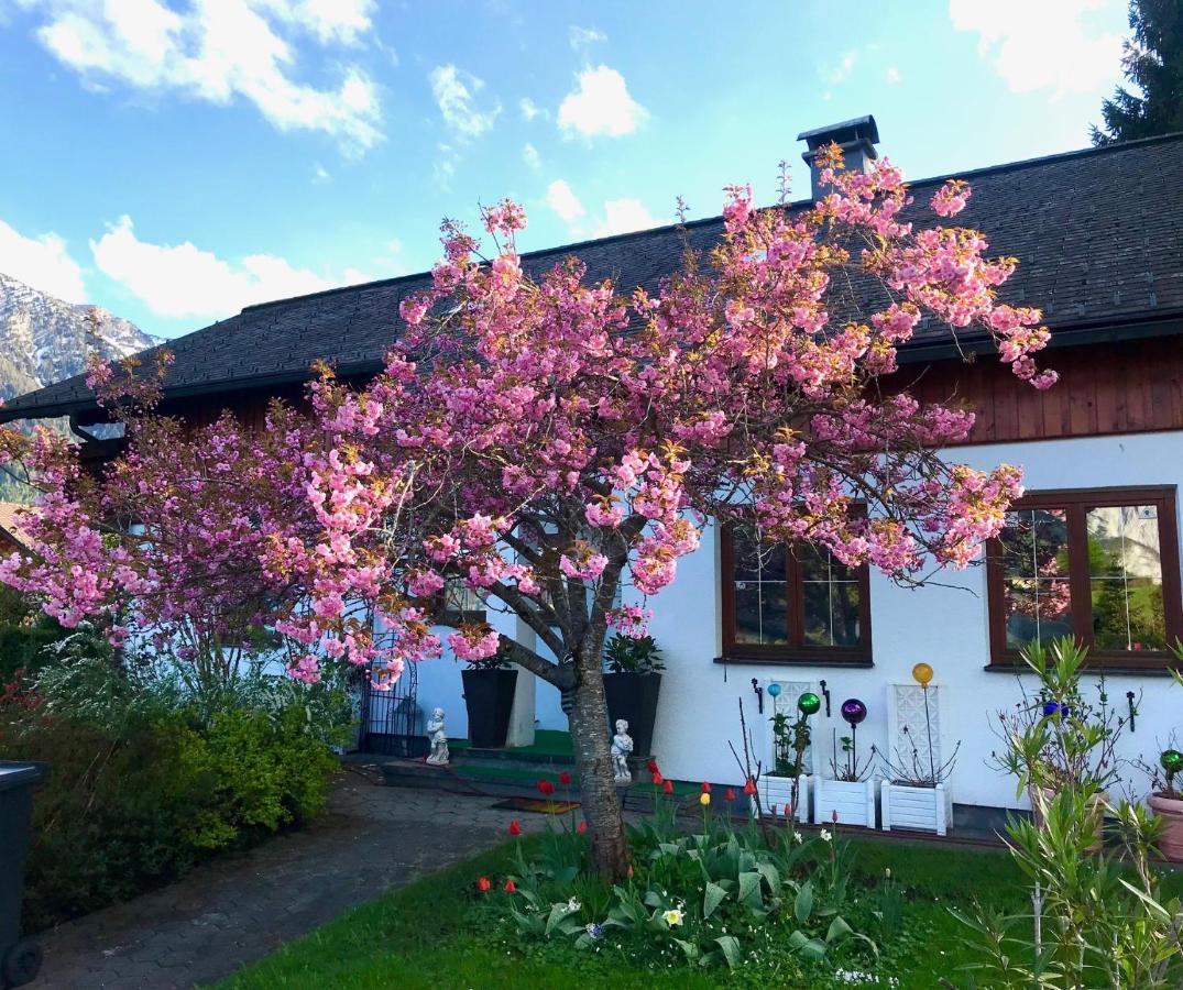 Haus Belli Villa Bad Aussee Bagian luar foto